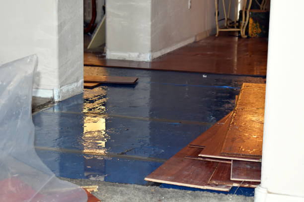 Professional Burst Pipe Cleanup technician working in Chester, NY